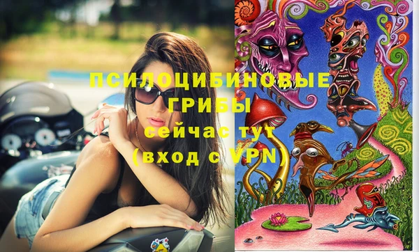 герыч Вязники